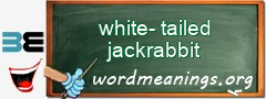 WordMeaning blackboard for white-tailed jackrabbit